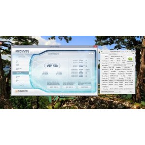 3D Mark Vantage (DirectX 10)