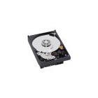 WD 500 GB SATA-II 7200 RPM 16MB Caviar RE2