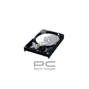 Samsung 400 GB SATA-II 7200RPM 16MB NCQ SpinPoint T133 Series