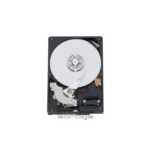 Maxtor 80 GB SATA-II 7200 RPM 8 MB DiamondMax21 NCQ