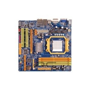 Biostar TF7025-M2