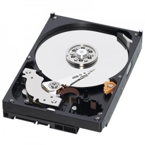 WD 1TB SATA-II 7200 rpm 16MB RE2-GP