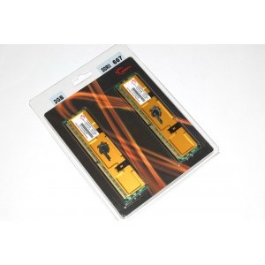 G.Skill 2 GB DDR2 667 MHz CL4 Dual Channel Kit