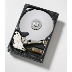 HGST 320GB ATA133 8MB 7200RPM Deskstar T7K250