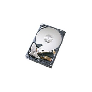 HGST 320 GB SATA-II 7200RPM 16MB DeskStar T7K500