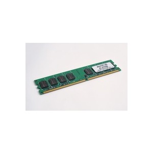 Sycron 1 GB 667 MHz Sycron Chip