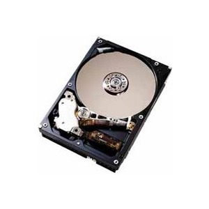 Maxtor 160 GB ATA 133 7200 rpm 8 MB DiamondMax Plus 10