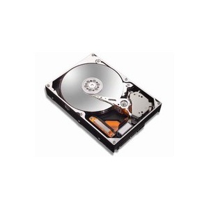 Maxtor 120 GB SATA 7200 rpm 8 MB DiamondMax Plus 9