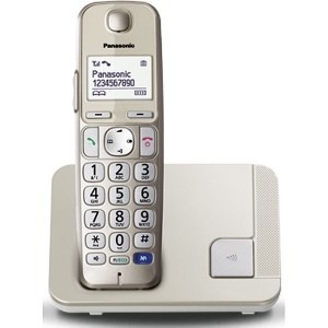 Panasonic Dect KX-TGE210FXN Silver
