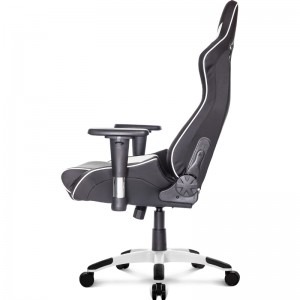 AKRACING ProX Black/White