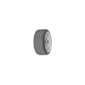 Michelin Pilot Sport PS2 255/40R19 100Y