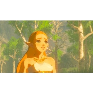 Nintendo THE LEGEND OF ZELDA BREATH OF THE WILD pentru Switch