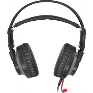 Genesis Radon 600