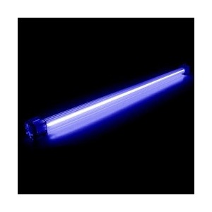 Recom Neon Albastru 30 cm