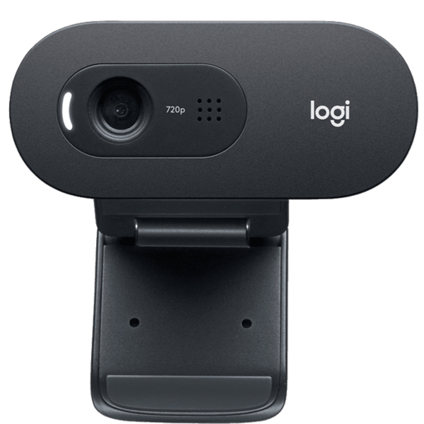 Camera Web Logitech C505e HD