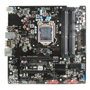EVGA P55V