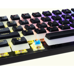 White Shark ASHIKO v2 Blue Switch Mecanica Black