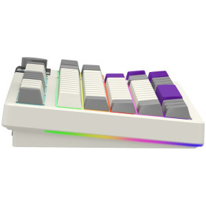 LORGAR KBP70TKLW Pro TKL RGB Toxic Purple Linear Switch Beige Mecanica