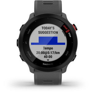 Garmin Forerunner 55 GPS Monterra Grey