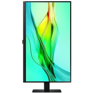 Samsung ViewFinity S6 LS27D600UAUXEN 27 inch QHD IPS 5 ms 100 Hz USB-C HDR