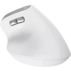 Trust Bayo II, Wireless Ergonomic, Silent click, Reincarcabil USB-C, White