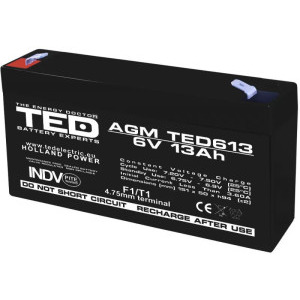 TED AGM TED613 6V 13A