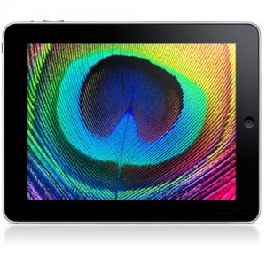 Apple iPad 16GB