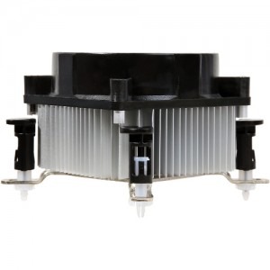 Spire Sigor SP536S7