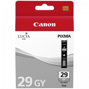 Canon Cartus PGI-29 Grey