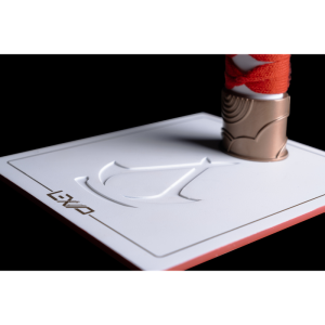LexIP Stand casti Assassins Creed Shadows