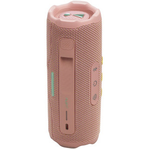 JBL Flip 7 Pink
