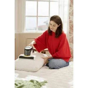 Karcher VCH 4 UVClean, UV antiacarieni, 500W, 0.4L, Alb/Negru
