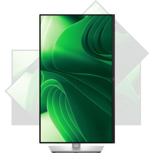 DELL P2425D 23.8 inch QHD IPS 5 ms 100 Hz