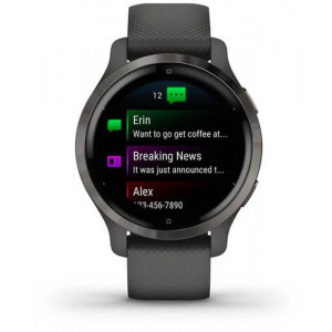 Garmin Venu 2S GPS Wi-Fi Grey/Slate