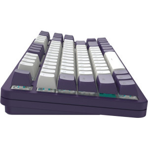 Dark Project Violet TKL G3MS Sapphire Switch Mecanica