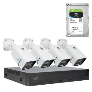 PNI PNI-IPMAX3-1TB + 4 camere + HDD 1Tb