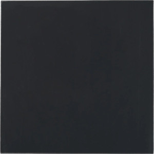Thermal Grizzly Minus Pad Advance 100x100x0.5mm, 2 buc