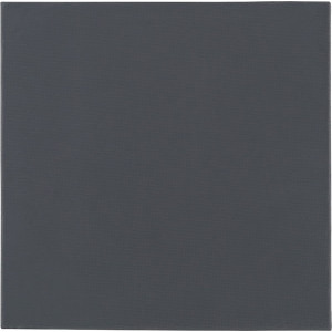 Thermal Grizzly Minus Pad Pro 100x100x1mm