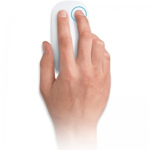 Apple Magic Mouse MB829ZM