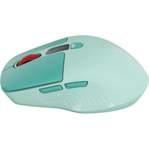 Canyon MW-26 LCD Green