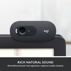 Logitech C505, HD, USB, Black