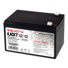 Accesoriu UPS SALICRU Baterie UBT 12Ah / 12V