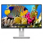 DELL U2414H 23.8 inch 8ms GTG