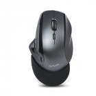 Mouse Delux M910 Wireless Black