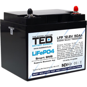 TED Acumulator A0117165 LiFePO4 12.8V 50Ah 19