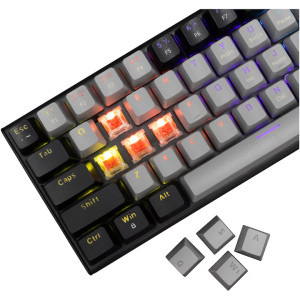 White Shark Wakizashi Rainbow Black/Grey v2 Red Switch Mecanica