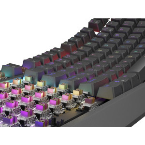 Genesis Thor 230 TKL RGB, Outemu Brown Switch, Mecanica, Black