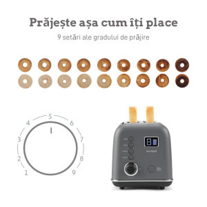 Buydeem Gri, Prajitor de paine DT730E-IG/EU