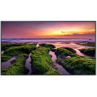 Monitor LED Samsung Smart LH65QBBEBGCXEN 65 inch UHD VA 8 ms 60 Hz