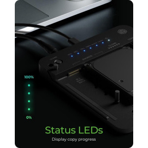 Icy Box IB-2913MCL-C31 USB 3.2 Gen 2 Black